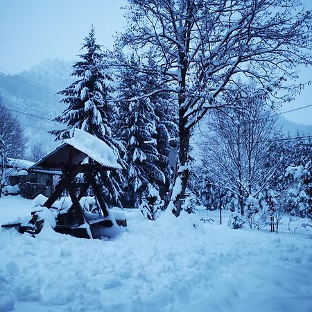 Cabana Valea Rea, Boga Boga  エクステリア 写真